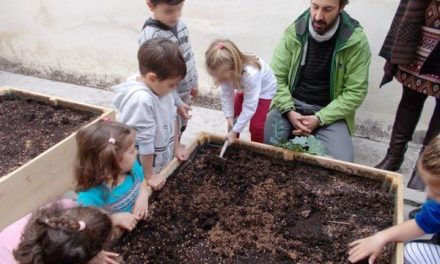 Στους παιδικούς σταθμούς του Δήμου Πετρούπολης, τα παιδιά έχουν τους δικούς τους λαχανόκηπους