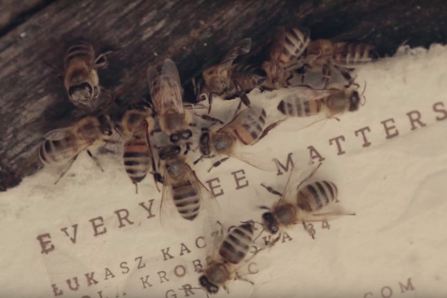 BEE SAVING PAPER : Ένα βιοδιασπώμενο χαρτί που θα σώσει τις μέλισσες!