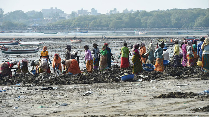 Εθελοντές απομάκρυναν 12.000 τόνους πλαστικού από μία παραλία στην Ινδία και συνεχίζουν!