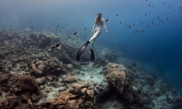 Η πρώτη υποβρύχια έκθεση φωτογραφίας παγκοσμίως πρόκειται να φιλοξενηθεί στον βυθό της Αμοργού