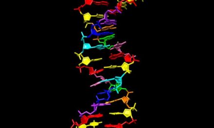 Δημιουργήθηκε για πρώτη φορά DNA με οκτώ «γράμματα» του γενετικού αλφαβήτου