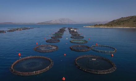 Ο δρόμος για την υπεύθυνη υδατοκαλλιέργεια ανοίγει για την Ελλάδα και τη Μεσόγειο