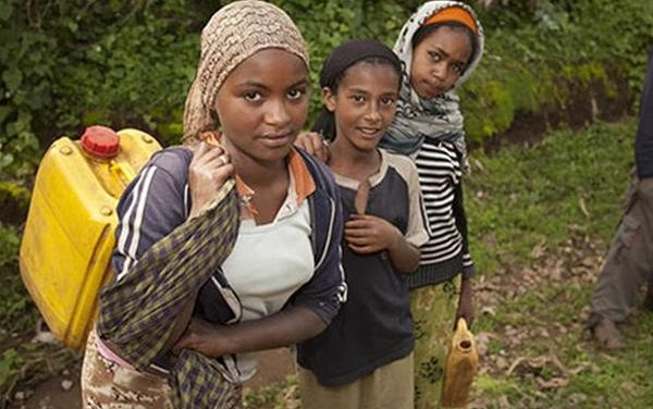 Παγκόσμιο ρεκόρ στην Αιθιοπία: φύτεψαν 350 εκατομμύρια δέντρα σε μια μέρα