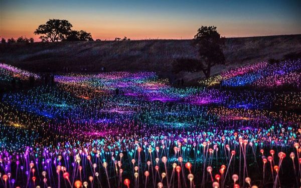 «Το λιβάδι του φωτός»: Μια φαντασμαγορική εγκατάσταση 58.000 LED στην Καλιφόρνια