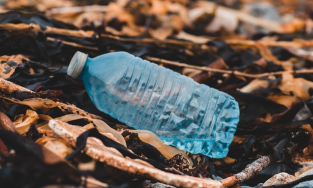 Επιστήμονες ανέπτυξαν ένζυμο που ανακυκλώνει τα πλαστικά μπουκάλια μέσα σε λίγες ώρες