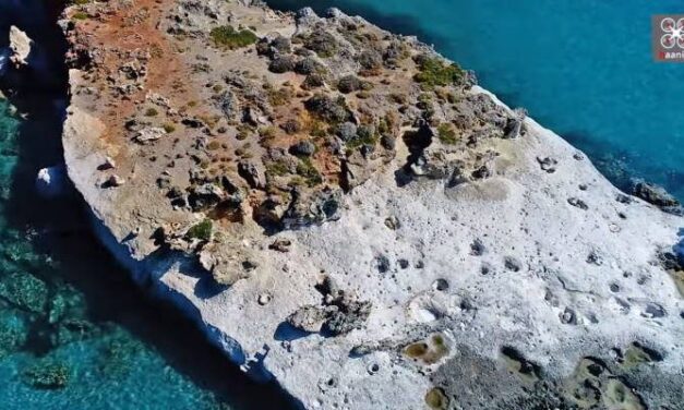 Το μοναδικό απολιθωμένο φοινικόδασος της Ευρώπης βρίσκεται στην Ελλάδα