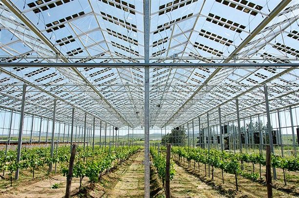 Brite Solar: Η εταιρία από τη Θεσσαλονίκη που παράγει ειδικό φωτοβολταϊκό γυαλί για θερμοκήπια και κτήρια