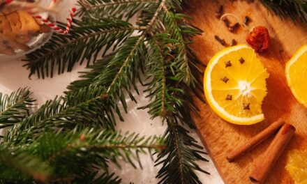Τέσσερις εύκολοι και φυσικοί τρόποι να κάνετε το σπίτι σας να μυρίσει Χριστούγεννα